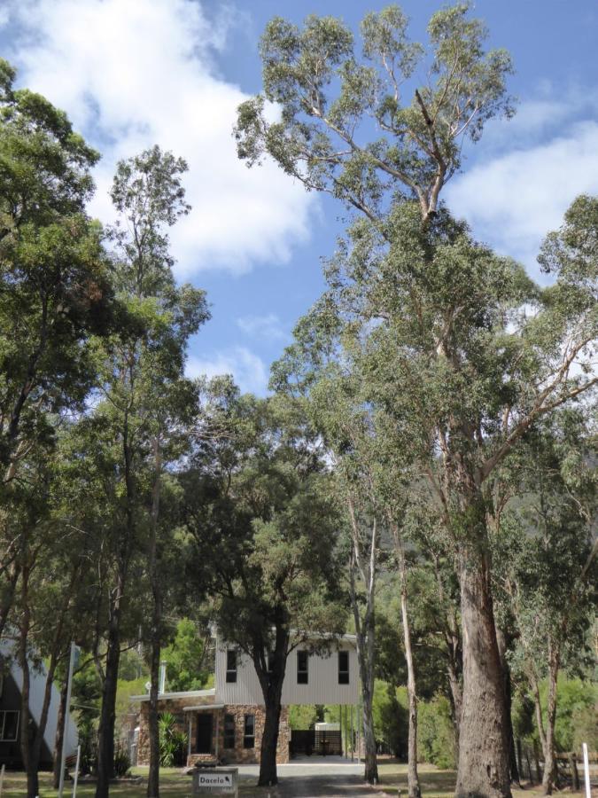 Dacelo Villa Halls Gap Luaran gambar