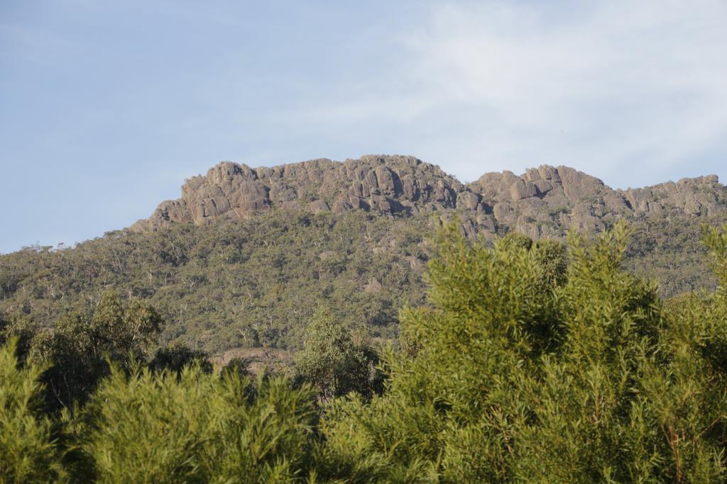Dacelo Villa Halls Gap Luaran gambar