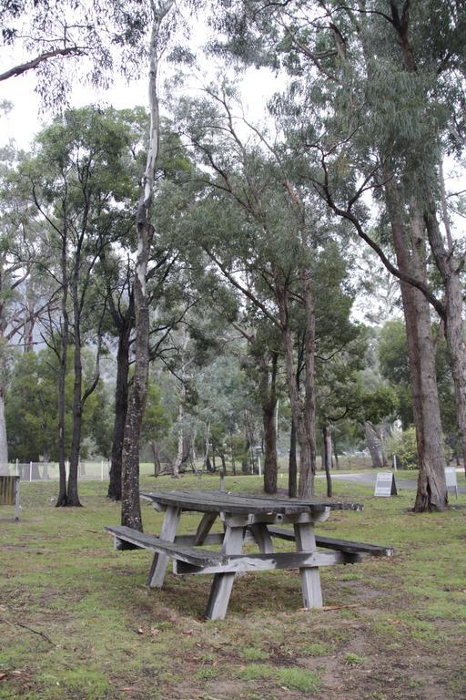 Dacelo Villa Halls Gap Luaran gambar