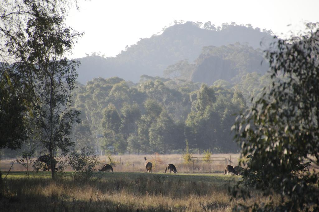 Dacelo Villa Halls Gap Luaran gambar